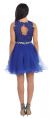 Lace Top Tulle Skirt Short Homecoming Party Dress back
